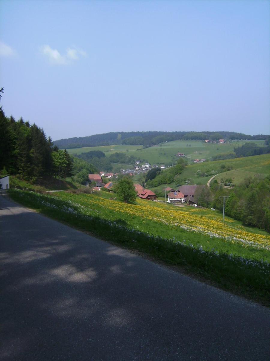 Gasthof Krone Schuttertal Extérieur photo